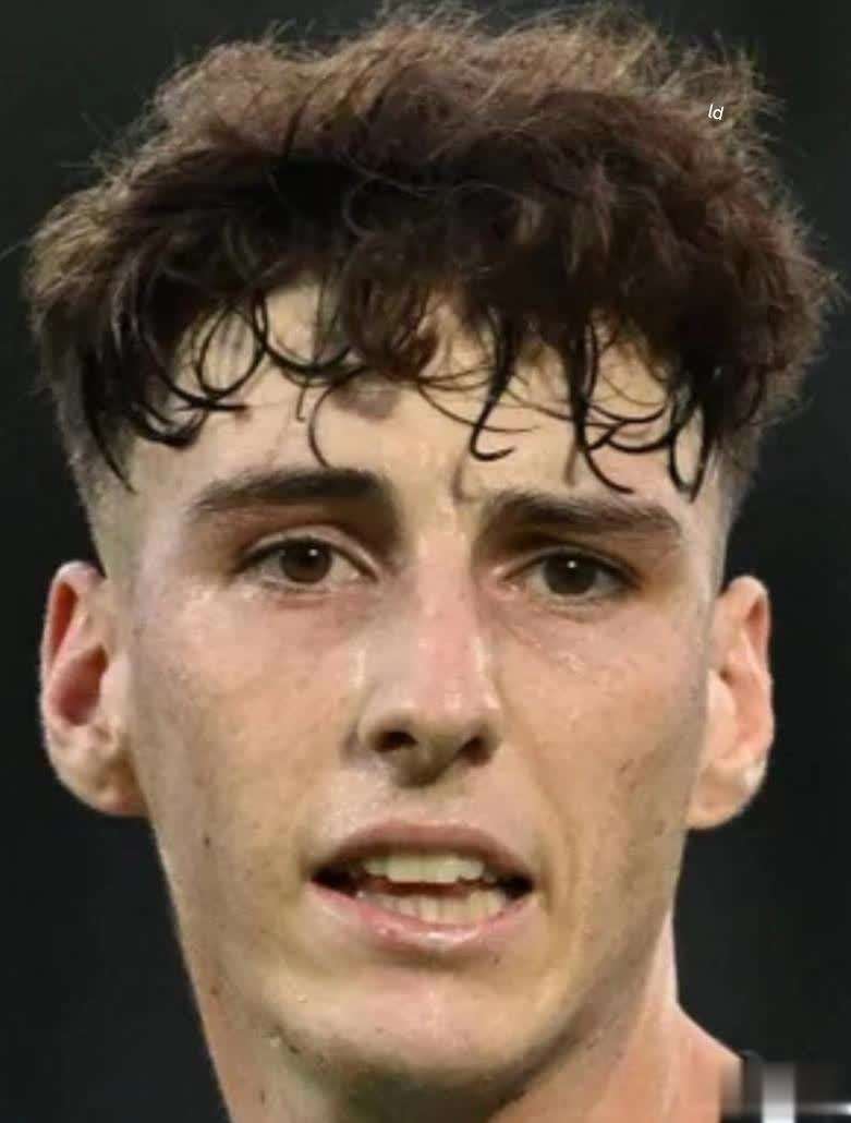 采用了更具, 确实情有可 采用了更具, 确实情有可